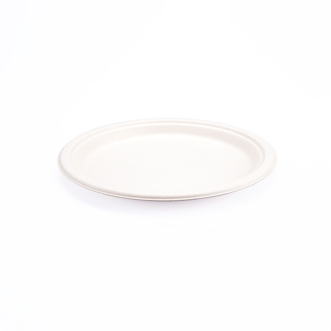 10" Bagasse Plate thumbnail 2