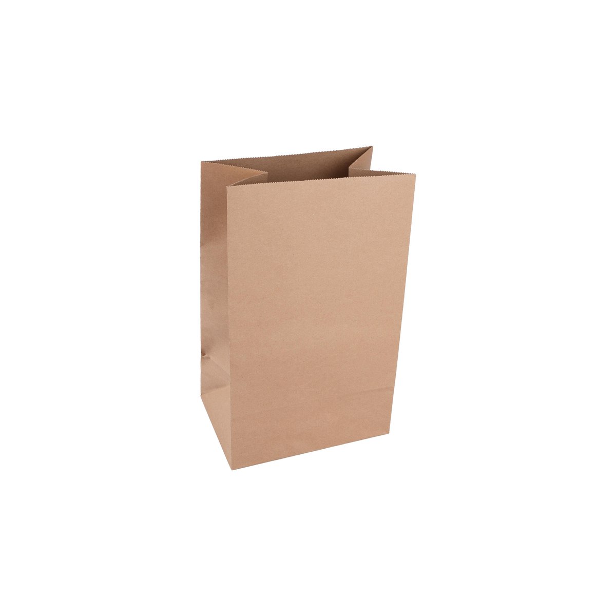 #12/20/25 SOS Kraft Bag thumbnail 2