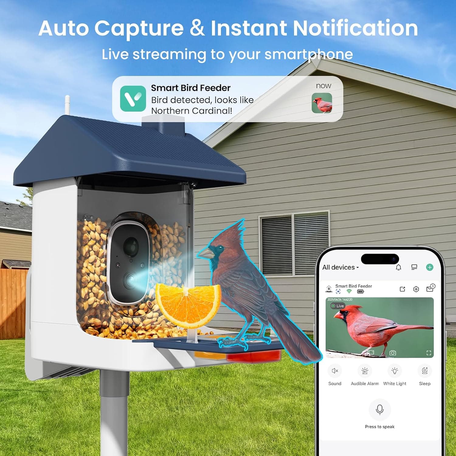 ACCULENZ B9 Smart Bird Feeder with Camera, Solar Panel and 5200 mAh Battery, AI Bird Identification thumbnail 1