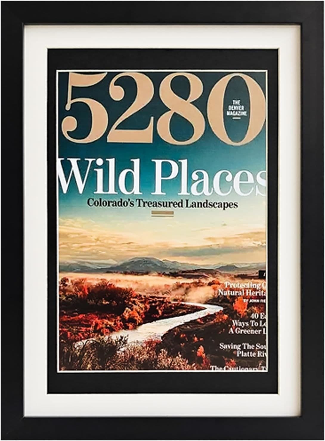 Magazine and Comic Display Frame, Black, 14.7 x 10.8 in