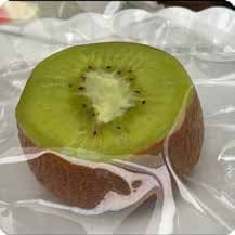 Squishy Fruit Stress Toy – Halved Kiwi, Fidget Squeeze Toy, 7.5 × 7.5 × 5 cm thumbnail 1