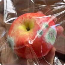 Squishy Fruit Stress Toy – Red Apple with Green Spots, Fidget Squeeze Toy, 7.5 × 7.5 × 6 cm 缩略图 1