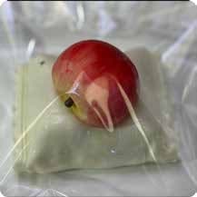 Squishy Food Stress Toy – Cream Block with Red Apple, Fidget Squeeze Toy, 8 × 6 × 5 cm 缩略图 1