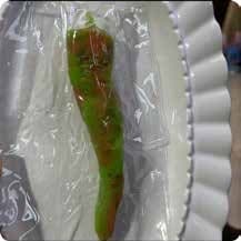 Squishy Food Stress Toy – Green Chili Pepper, Fidget Squeeze Toy, 13.5 × 2.4 × 1.6 cm thumbnail 1