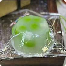 Squishy Food Stress Toy – Green-Dotted Clear Jelly Dome, Fidget Squeeze Toy, 280 g 缩略图 1