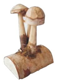 Carved Mushroom Figurine on Log Base thumbnail 1