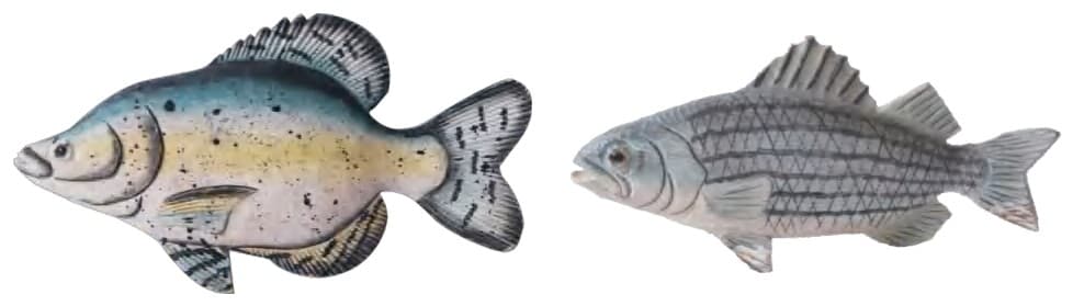 Hand-Painted Carved Fish Wall Plaques, 2 Designs (Speckled and Striped) 缩略图 1